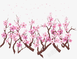 春天飞舞樱花树枝矢量图素材