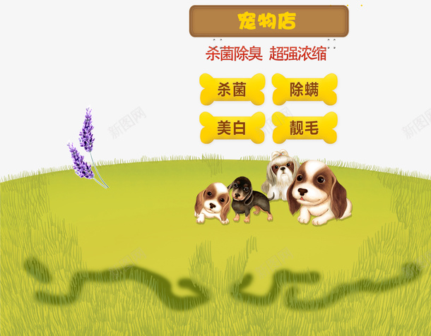宠物店宣传单爱心psd设计背景_新图网 https://ixintu.com 卡通 宠物店宣传单 宠物护理 爱心 细菌 美白 除螨