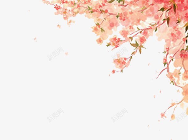 手绘樱花png免抠素材_新图网 https://ixintu.com 手绘 樱花 水彩 漂亮