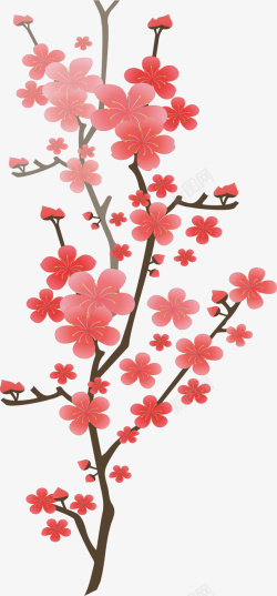 红色美丽春天樱花矢量图素材