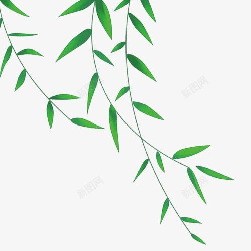 绿色清新装饰柳叶png免抠素材_新图网 https://ixintu.com 小清新 条形柳叶 简约装饰 绿色底纹 装饰图 设计图