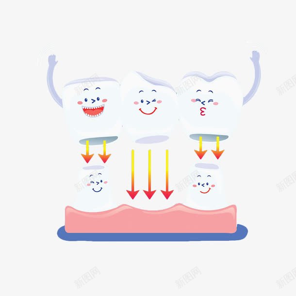 手绘牙齿烤瓷牙png免抠素材_新图网 https://ixintu.com 手绘 护齿 烤瓷牙 牙 牙床 白色 箭头