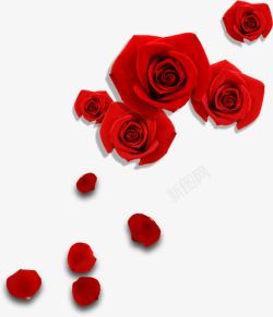 手绘红色玫瑰花朵婚礼素材
