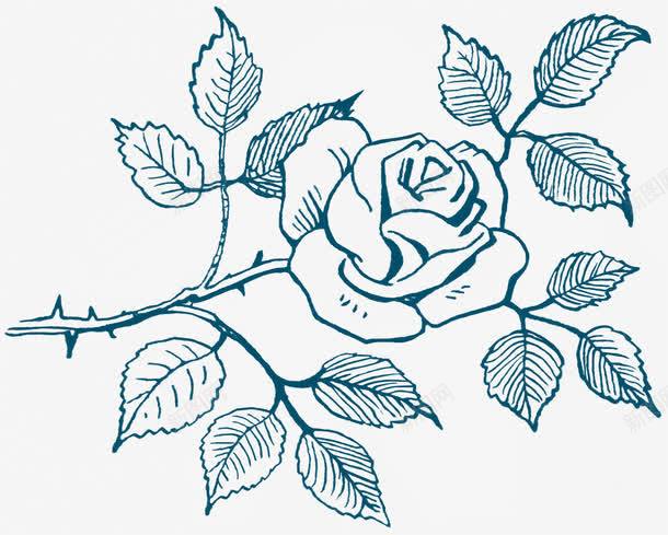 手绘复古素描花朵png免抠素材_新图网 https://ixintu.com 复古 手绘 月季花 欧式