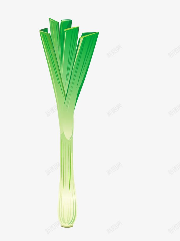 绿色青菜png免抠素材_新图网 https://ixintu.com 一捆 大葱 植物 绿色蔬菜 青菜
