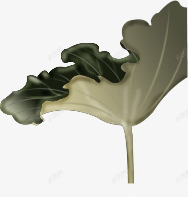 手绘绿色荷叶画册png免抠素材_新图网 https://ixintu.com 画册 绿色 荷叶