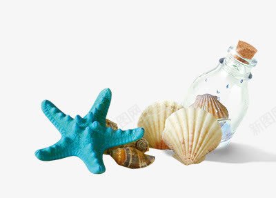 摄影蓝色海星贝壳漂流瓶png免抠素材_新图网 https://ixintu.com 摄影 海星 漂流 蓝色 贝壳