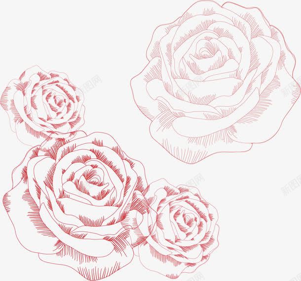手绘线条玫瑰花png免抠素材_新图网 https://ixintu.com 手绘 月季花 植物 玫瑰花 花朵