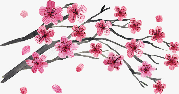 杏花开花PGN矢量图ai免抠素材_新图网 https://ixintu.com 开花 春天 春天小清晰 春天植物 春天矢量 春天装饰 杏花 矢量图