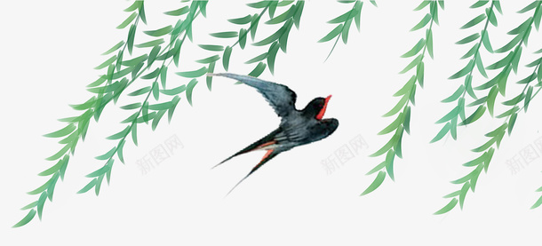 柳枝飞燕装饰插画png免抠素材_新图网 https://ixintu.com 插画 春天 柳枝 柳树 树枝 燕子 装饰图案 飞燕