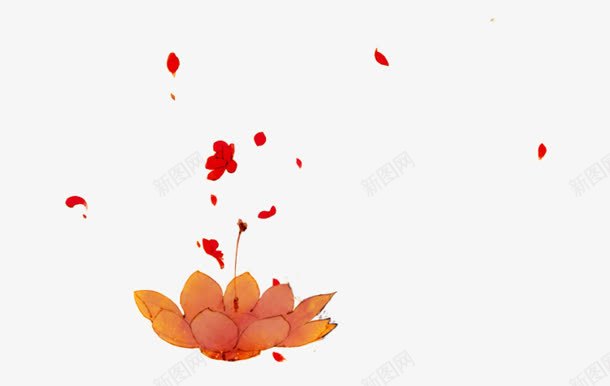 古风莲花吊饰png免抠素材_新图网 https://ixintu.com 古风 吊饰 莲花