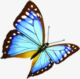蓝色蝴蝶礼仪名片png免抠素材_新图网 https://ixintu.com 名片 礼仪 素材 蓝色 蝴蝶