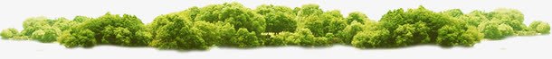 绿色植物海报沙滩树木草堆png免抠素材_新图网 https://ixintu.com 树木 沙滩 海报 绿色植物