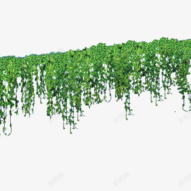 绿色植物png免抠素材_新图网 https://ixintu.com 园林 树木 绿化装饰 绿色植物 花丛 花草
