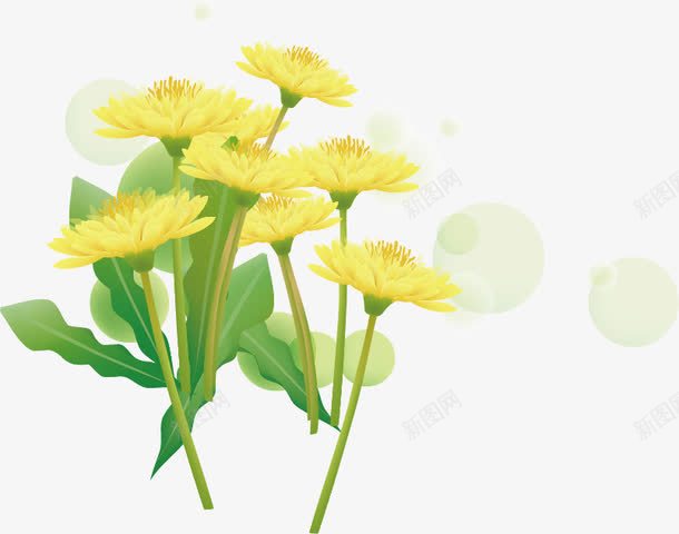 精美春天黄色花矢量图ai免抠素材_新图网 https://ixintu.com 春天 精美 花 蒲公英 黄色 黄花 矢量图