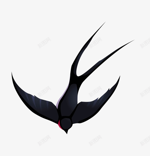 飞翔的黑色燕子png免抠素材_新图网 https://ixintu.com 动物 小鸟 尾巴 春天 燕子 燕尾 飞翔 鸟头 鸣叫 黑色