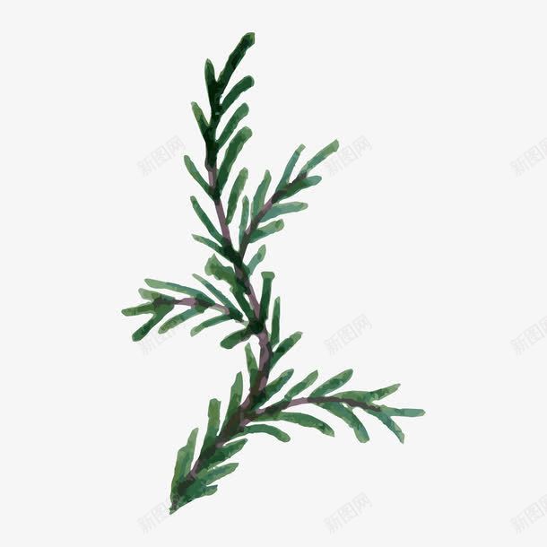 绿植花卉花卉背景手绘植物png免抠素材_新图网 https://ixintu.com 创意花卉图片 叶子 唯美花卉图片 庆典花卉 手绘 水彩 水彩花卉 花卉 花草