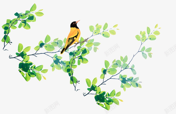 卡通手绘绿枝上的小鸟psd免抠素材_新图网 https://ixintu.com 卡通 嫩绿 小清新 小鸟 手绘 春天 枝丫 绿色 黄色