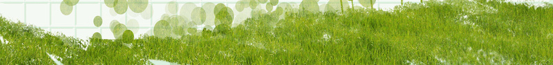 小清新植物格子背景bannerjpg设计背景_新图网 https://ixintu.com banner 儿童插画 小清新 格子背景 植物 植物发芽 绿色背景 草地