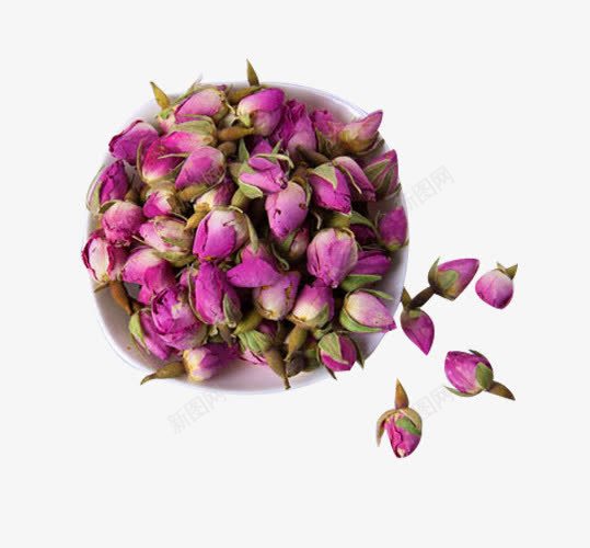花苞法兰西玫瑰花茶png免抠素材_新图网 https://ixintu.com 含苞待放的玫瑰 植物 法兰西玫瑰 玫瑰花 花苞 花茶