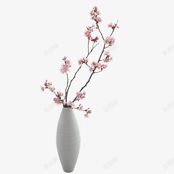 花卉元素png免抠素材_新图网 https://ixintu.com 植物 盆摘 绿色 花儿 花卉 花卉元素 花瓶 花盆 鲜花