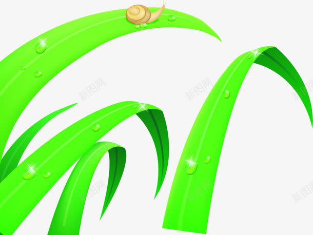 春天可爱树叶蜗牛露珠png免抠素材_新图网 https://ixintu.com 可爱 春天 树叶 蜗牛 露珠