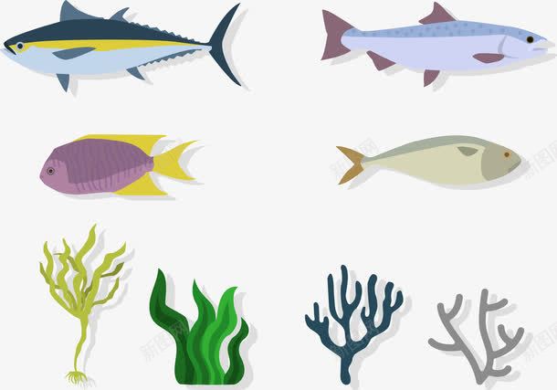 海洋生物png免抠素材_新图网 https://ixintu.com 卡通 扁平化 手绘 水彩 海底世界 鱼
