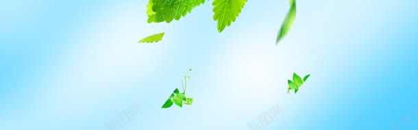 绿色清爽淘宝海报背景jpg设计背景_新图网 https://ixintu.com banner 化妆品 化妆品海报设计 淘宝海报 童装 美容 轮播海报