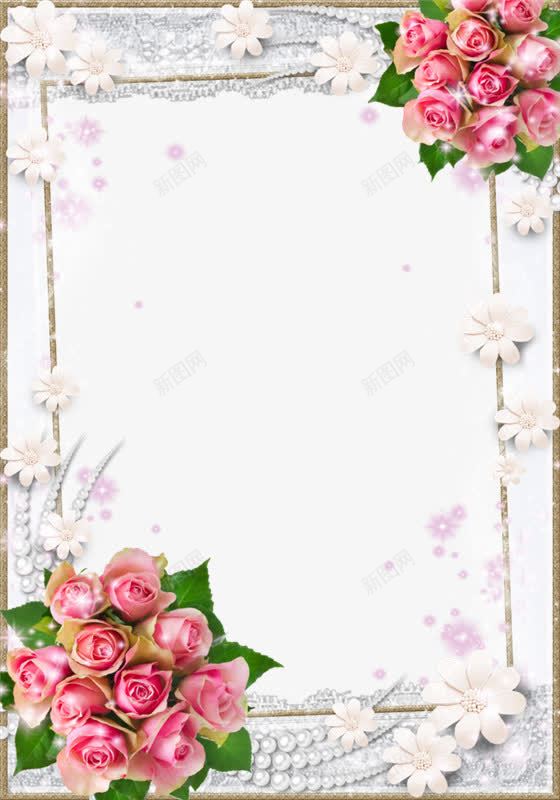 简约花瓣相框图png免抠素材_新图网 https://ixintu.com 玫瑰花 相框 简约 花瓣 边框