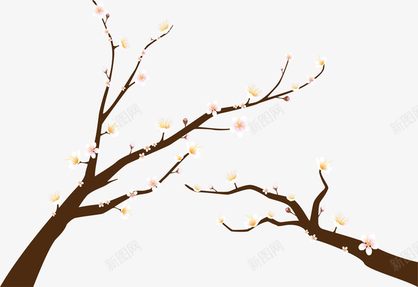 浪漫春天白色樱花矢量图ai免抠素材_新图网 https://ixintu.com 春天 春天樱花 樱花 浪漫樱花 白色樱花 矢量png 矢量图