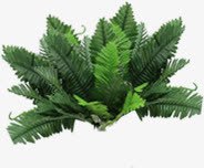 热带唯美植物婚礼png免抠素材_新图网 https://ixintu.com 婚礼 植物 热带