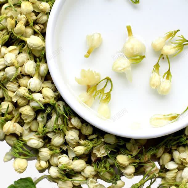 茉莉花茶png免抠素材_新图网 https://ixintu.com 清香 茉莉花苞 茉莉花茶 茉莉茶 茶叶