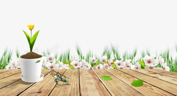 木桌花朵小麦背景png免抠素材_新图网 https://ixintu.com 小麦 春意 桃花 盆栽 郁金香