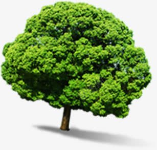 绿色绿树春天png免抠素材_新图网 https://ixintu.com 春天 绿树 绿色