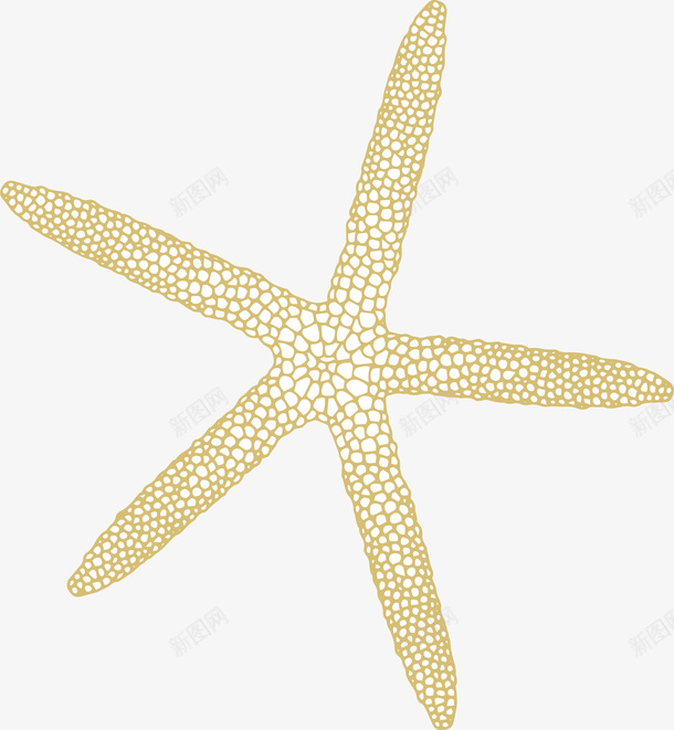 卡通装饰线条海洋生物海报海png免抠素材_新图网 https://ixintu.com 动物插画 卡通海洋生物 卡通装饰线条海洋生物海报设计海星免费下载 广告设计 旅游宣传册设计 海报设计 海星 简笔画线条海洋生物