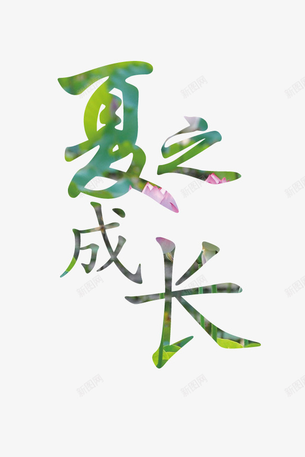 夏这成长用于排版四季风格png免抠素材_新图网 https://ixintu.com 夏 封面 排版 标题