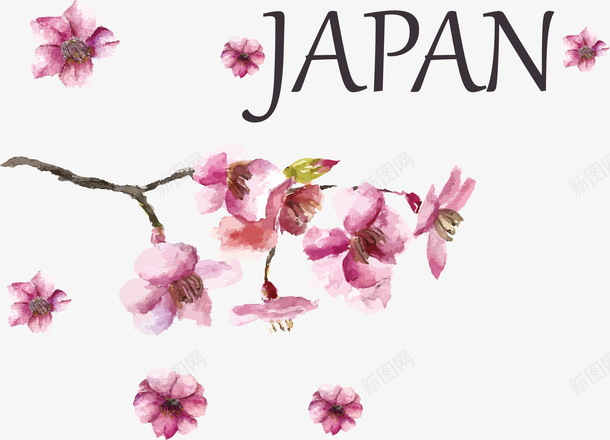日本杂志特点日本樱花矢量图ai免抠素材_新图网 https://ixintu.com 文字 日本文化 日本杂志 日本樱花 标志 特点 美丽 花朵 矢量图