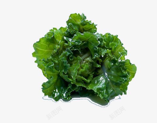绿甘蓝独立png免抠素材_新图网 https://ixintu.com 新鲜 有机 绿甘蓝 花萌芽 青菜