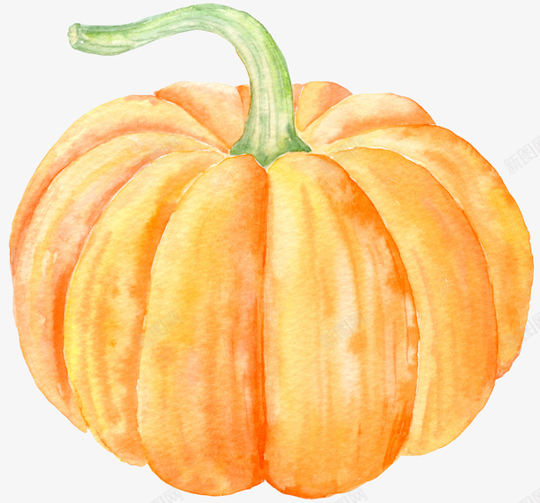 手绘水彩黄色南瓜png免抠素材_新图网 https://ixintu.com 丰收 南瓜 卡通 手绘 水彩南瓜 海报设计 蔬菜 装饰 食材 黄色大南瓜