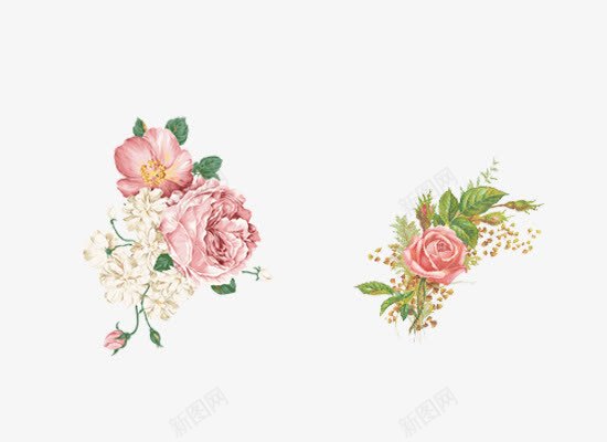 粉色手绘水墨玫瑰花牡丹花png免抠素材_新图网 https://ixintu.com 手绘 水墨 水彩 牡丹花 玫瑰花 粉色花朵 粉色鲜花 花朵 鲜花 鲜花合集
