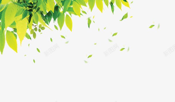 春天风景福字海报psd免抠素材_新图网 https://ixintu.com 草地绿叶花朵福字蒲公英艺术字