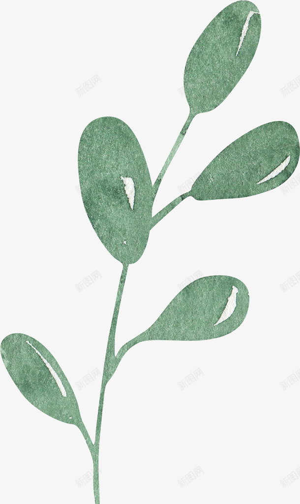 叶子装饰案png免抠素材_新图网 https://ixintu.com 卡通 叶子 唯美 彩色 手绘 春天 植物 水墨 渐变 玫瑰花 鲜花