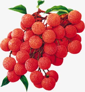 红色荔枝水果海报png免抠素材_新图网 https://ixintu.com 水果 海报 红色 荔枝