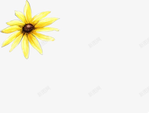 手绘鲜艳黄花画册png免抠素材_新图网 https://ixintu.com 画册 鲜艳 黄花