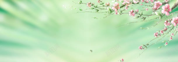唯美背景图jpg设计背景_新图网 https://ixintu.com 春天背景 桃花 炫彩