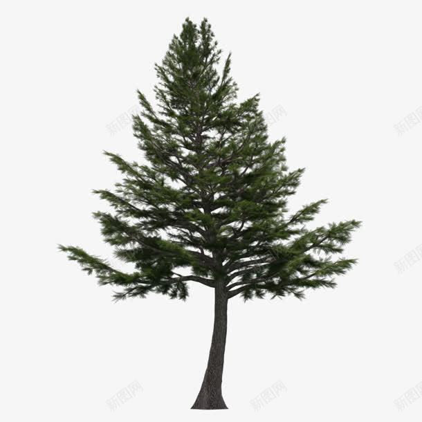 绿色树png免抠素材_新图网 https://ixintu.com 免抠png 春天 树 植树节 植物