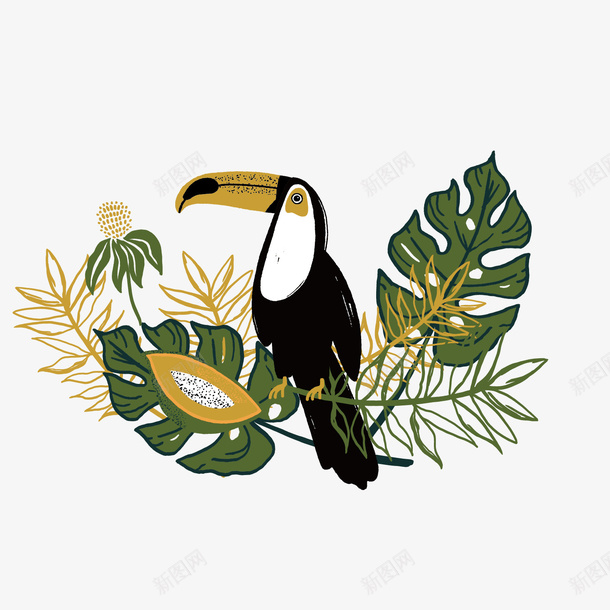 可爱的鹦鹉植物手绘矢量图ai免抠素材_新图网 https://ixintu.com 创意 夏日 木瓜 清新 热带雨林 绿色 鸟儿 鹦鹉 矢量图
