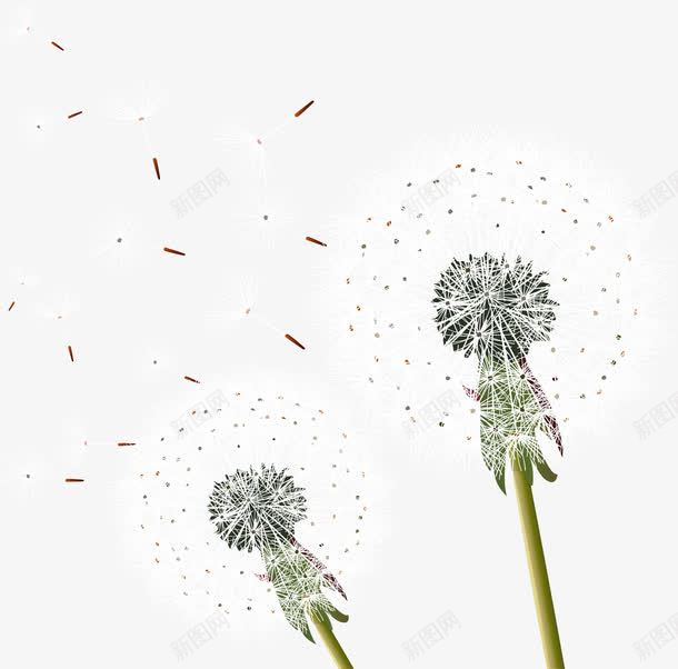 飞向远方的蒲公英png免抠素材_新图网 https://ixintu.com 春天 春季素材 植物 蒲公英 被风吹走的蒲公英
