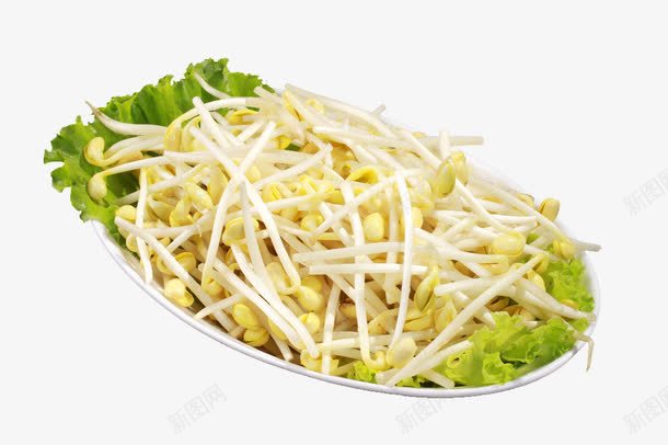 新鲜黄豆芽png免抠素材_新图网 https://ixintu.com 传统美食 涮锅子 火锅菜品 火锅菜品大全 火锅配菜 火锅食材 食物原料 餐饮美食 黄豆芽