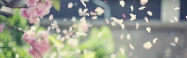 唯美日系朦胧感海报背景jpg设计背景_新图网 https://ixintu.com 京东背景 天猫背景 小清新背景 日系背景 暖色背景 柔色背景 淘宝背景 淡雅背景 清新背景 电商背景